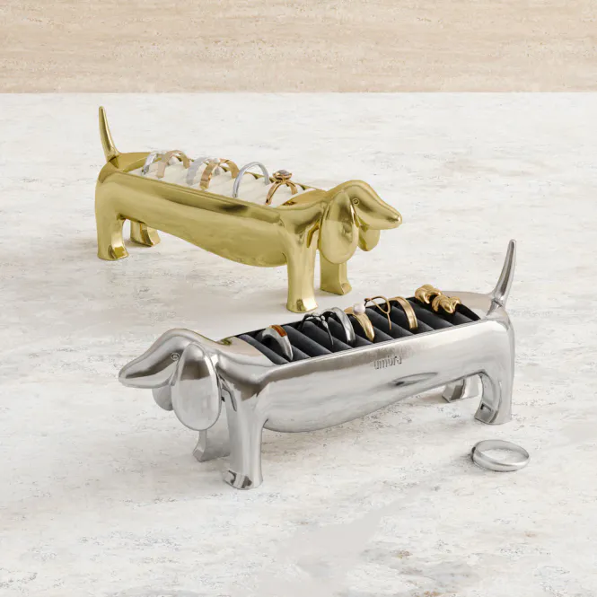 Hovedbilde Umbra Dachsie Ringholder Krom