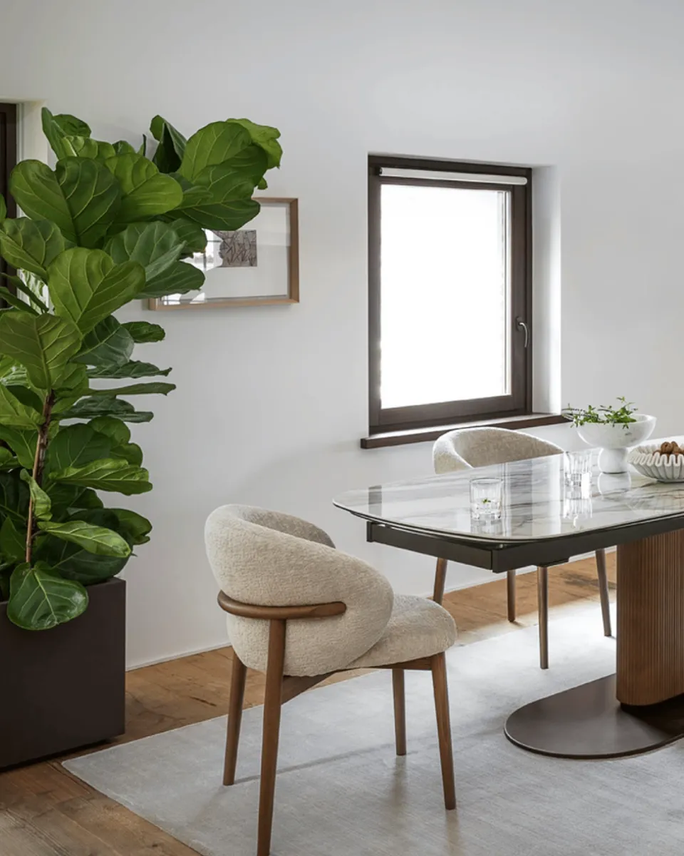 Calligaris Oleandro stol 2.0 smoke / hemp