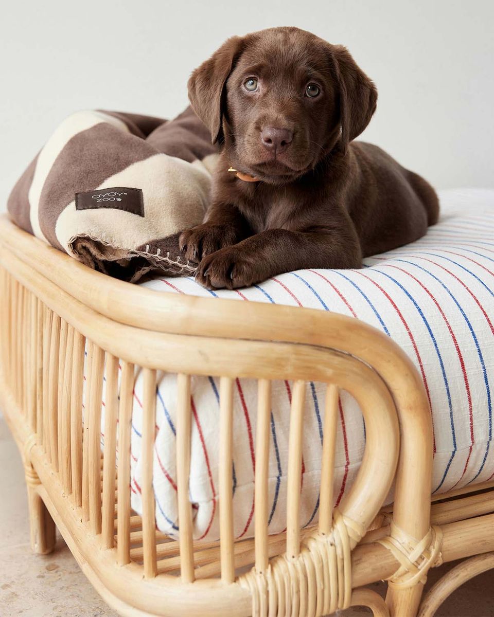 OYOY Otto Hundeseng L52 cm Natur