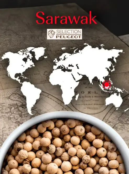 Hovedbilde Peugeot Sarawak Hvit Pepper