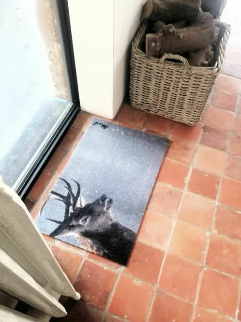 Hovedbilde MadAboutMats Matte Colt 50x75
