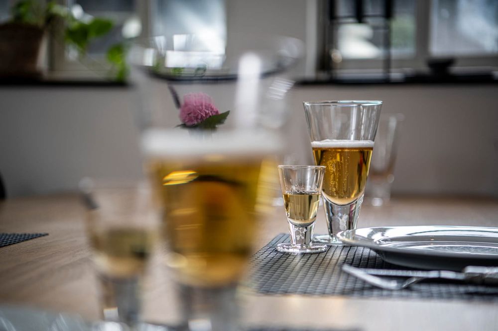 Jette Frölich Ducal Ølglass 33 cl 2 stk