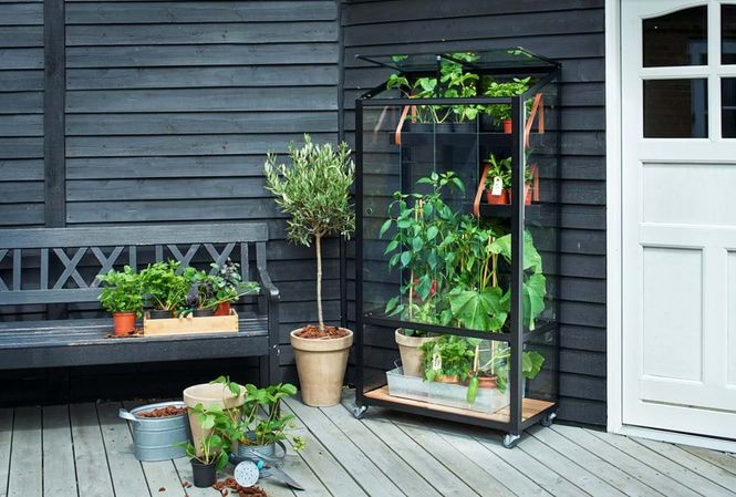 Hovedbilde Juliana Urban Drivhus City Greenhouse Herdet ...