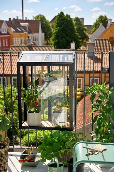 Hovedbilde Juliana Urban Balcony Drivhus Herdet Glass Sort ...