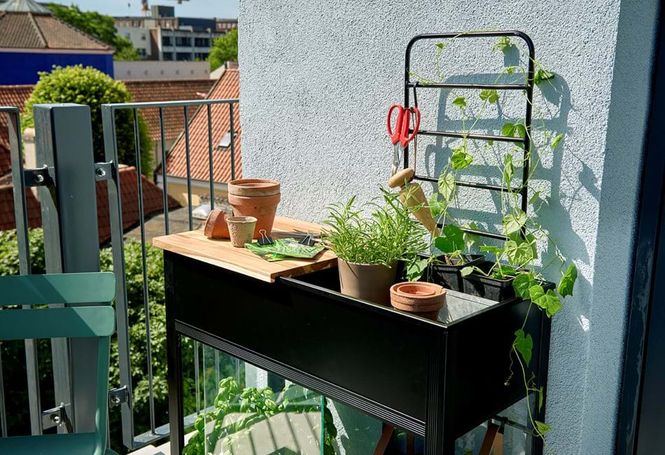 Hovedbilde Juliana Urban Vertical Drivhus Herdet Glass Sort ...