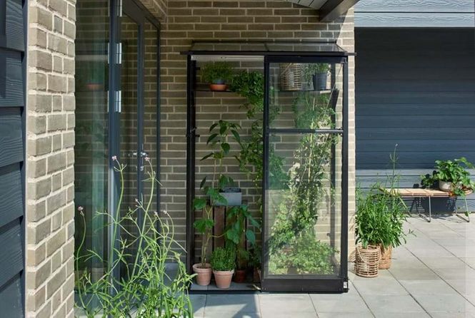 Hovedbilde Halls Drivhus Qube Lean-to Herdet Glass Sort 0,8 ...