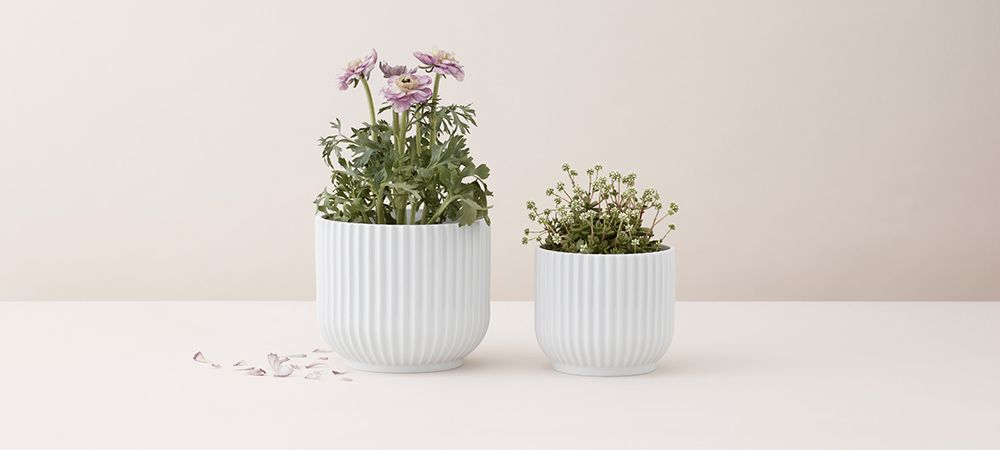 Lyngby Porcelæn Potteskjuler Liten 10 cm