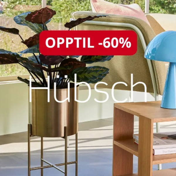 Hübsch kampanje på interiør, oppbevaring og møbler. 