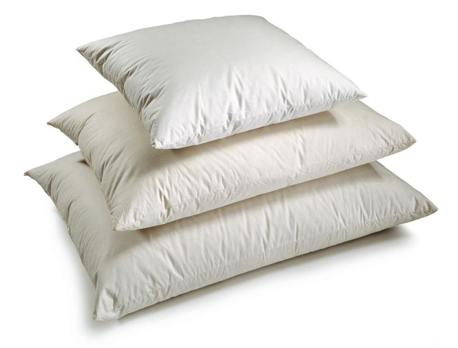 Hovedbilde Norsk Dun Innleggspute 45x45cm